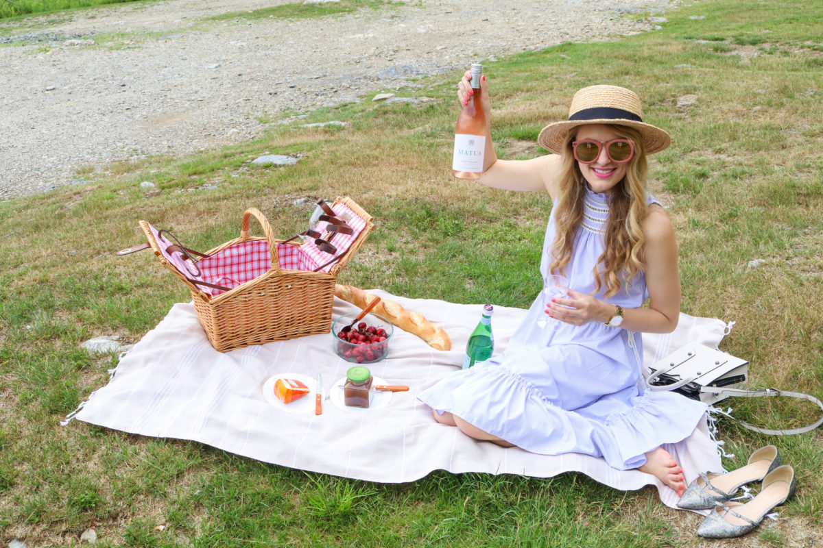 Прожарка девочек на пикнике